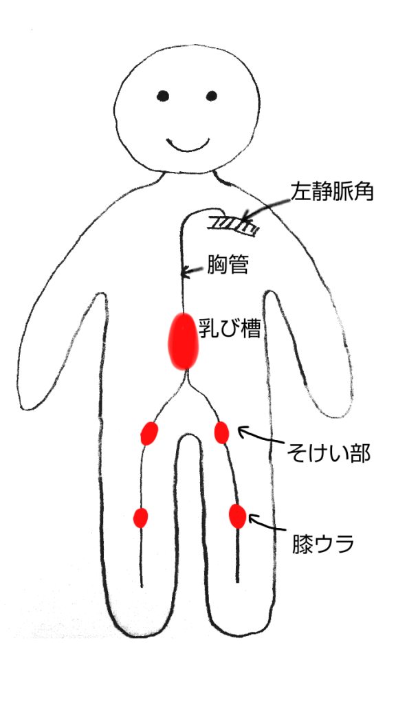 リンパ節そけい部と膝裏