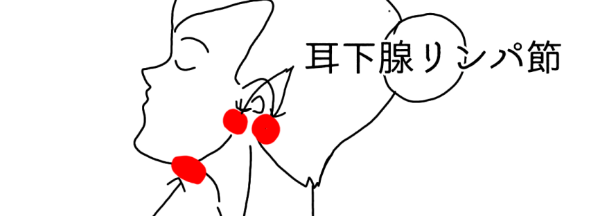 耳下腺リンパ節と顎下腺リンパ節