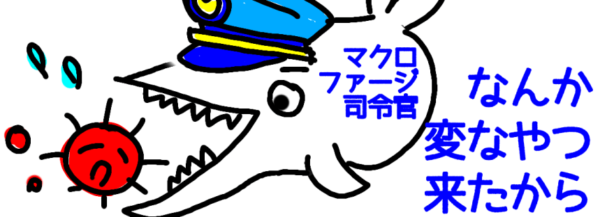 マクロファージ攻撃