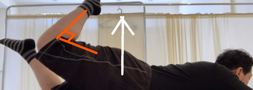 大臀筋トレーニング