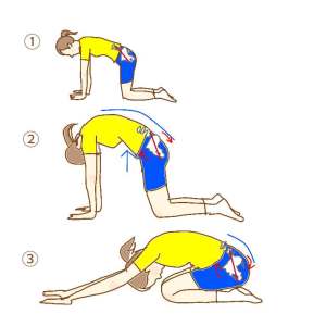 骨盤後傾セルフケア