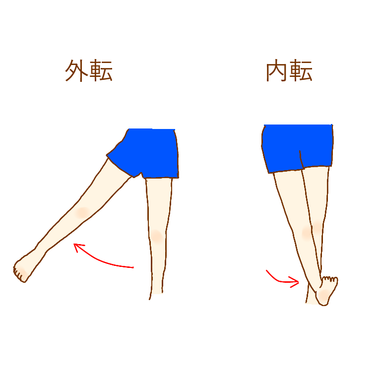外転と内転